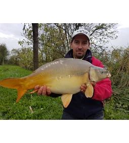 A dupla dobás, avagy egy etetési stratégia feederre!