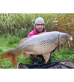 A hideg folyó kincse