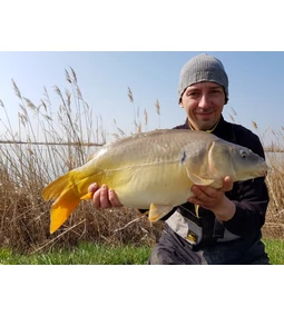 Felmelegedő vizekben keresgélni