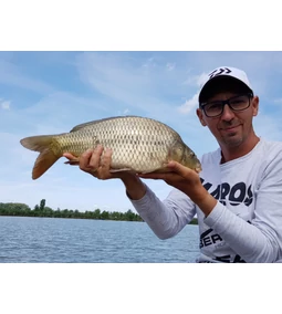 Minden, amit a bomb feederről tudni illik