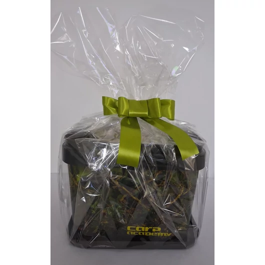 Max Fishing Kis Ajándékcsomag