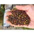 Kép 2/4 - Max Fishing Power Pellet 100% 800g