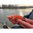 Kép 4/4 - Max Fishing általános etetőanyag 1kg - Red Agressor