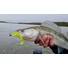 Kép 3/3 - Nevis IMPULSE SHAD 10CM 4DB/CS ARANY FLITTER